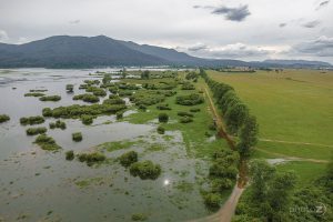 Pomlad na Cerkniškem jezeru