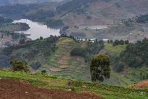 Uganda je več kot le safari