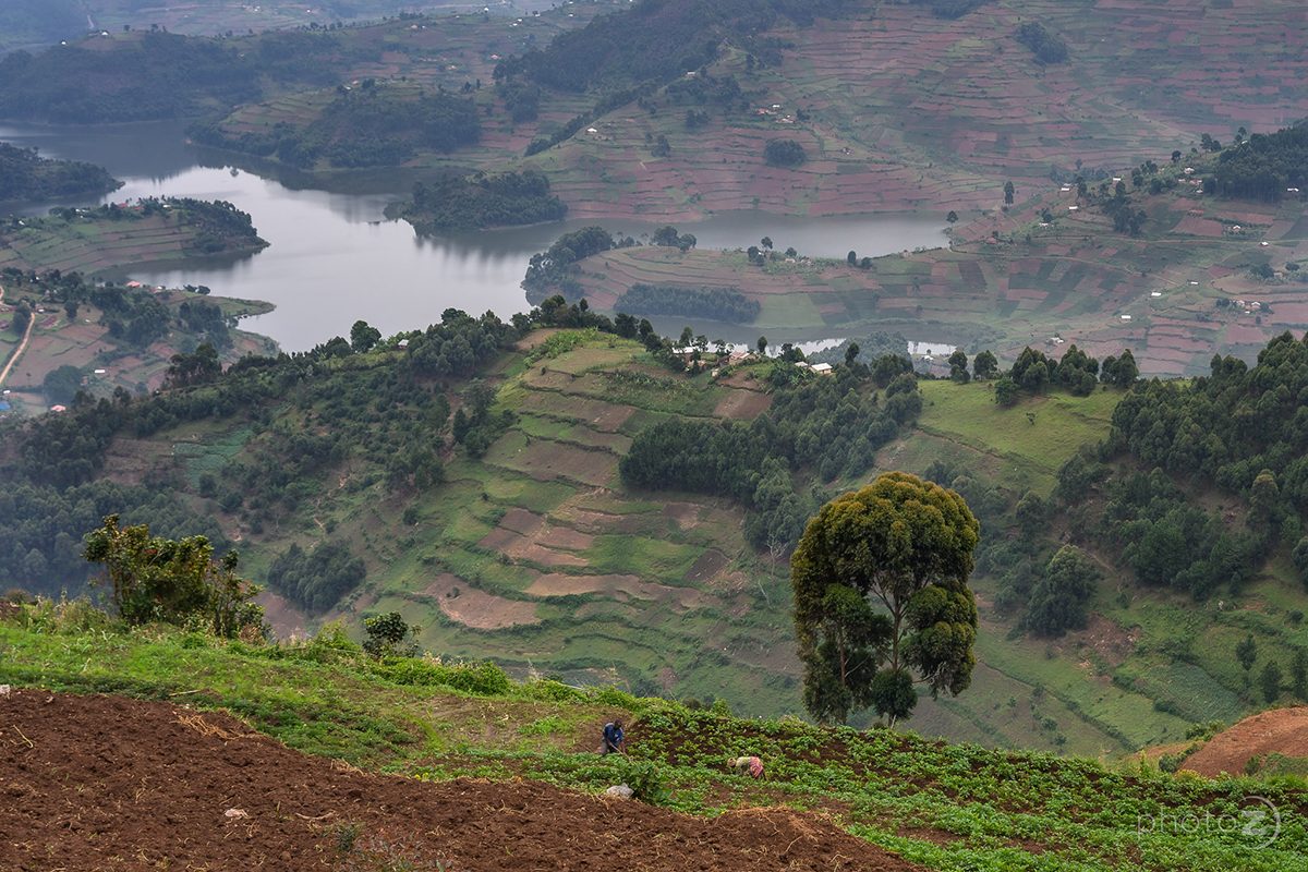 Uganda je več kot le safari