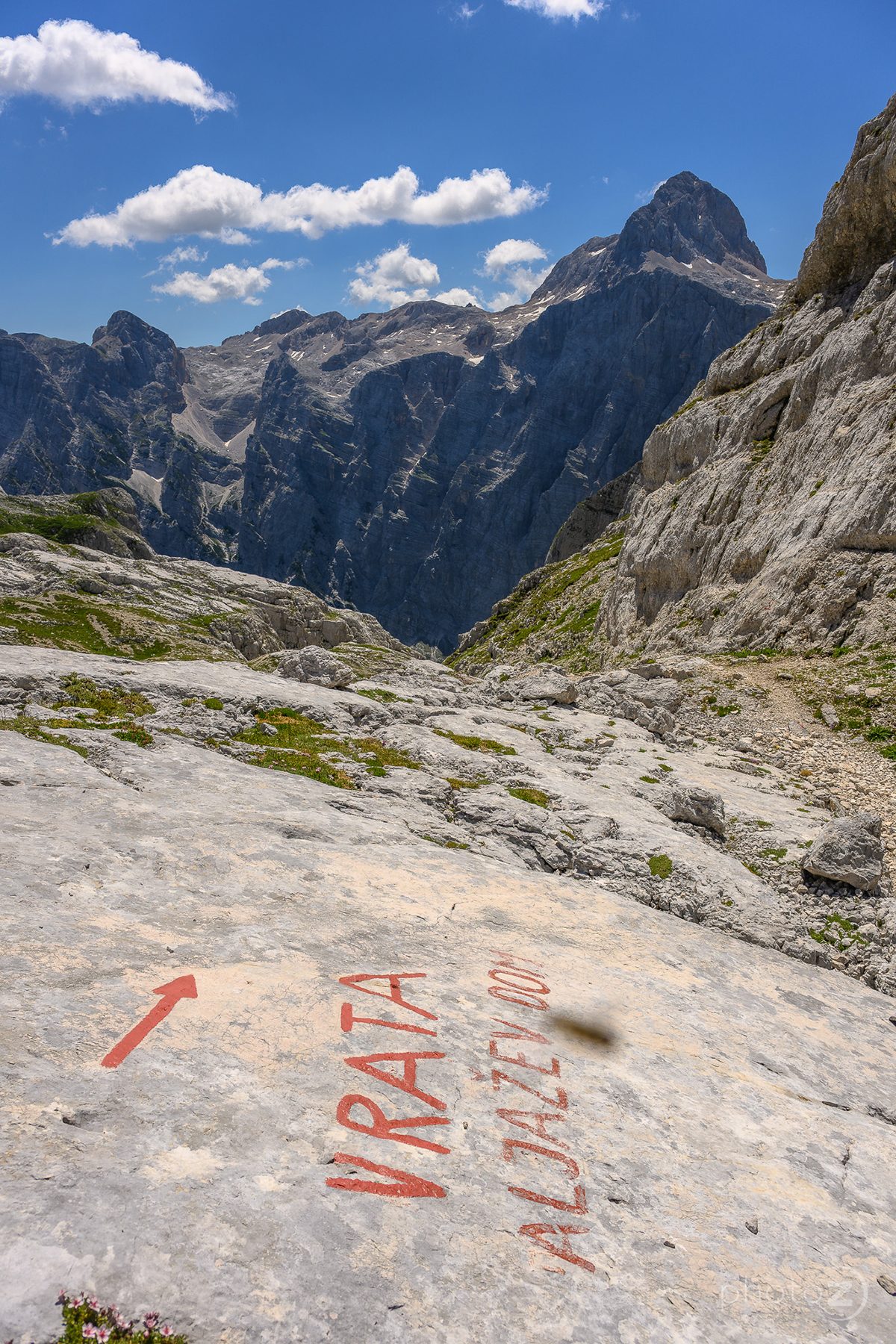 Bovški Gamsovec_12