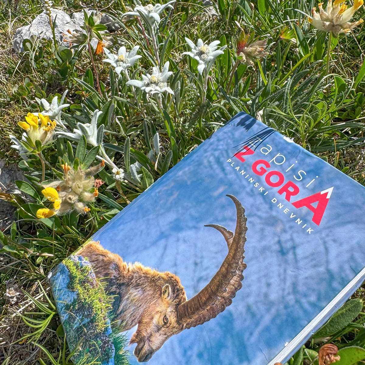 Bovški Gamsovec_26