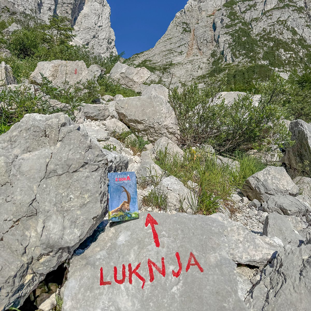 Bovški Gamsovec_41