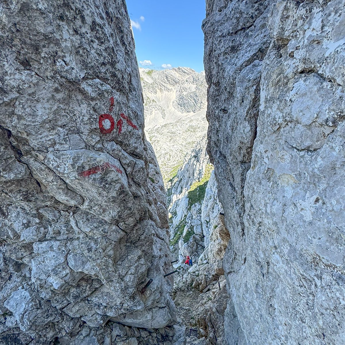 Bovški Gamsovec_45