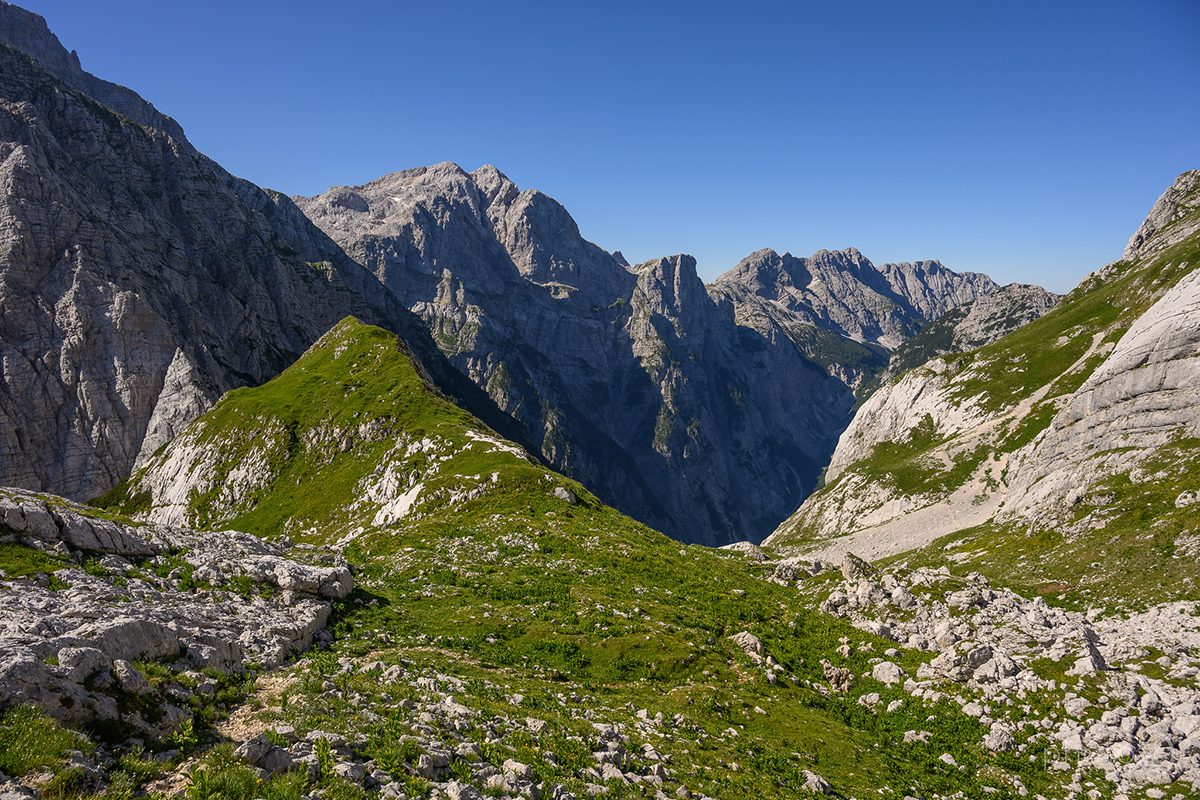 Bovški Gamsovec_5