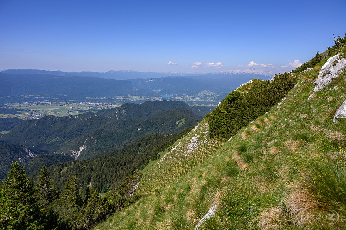 Gorska pot po travnatem pobočju Begunjščice